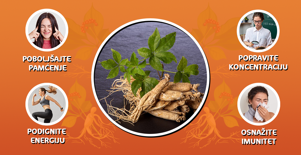 ginseng energy podignite energiju poboljšajte pamćenje