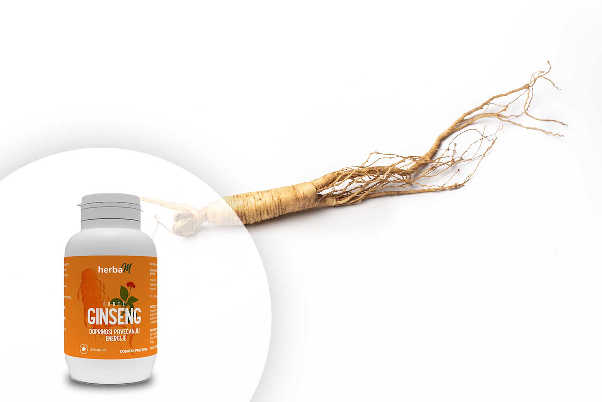 Panax ginseng herba kapsule