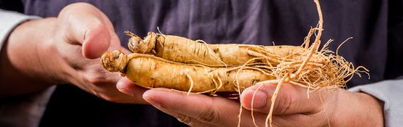 Panax (azijski) ginseng