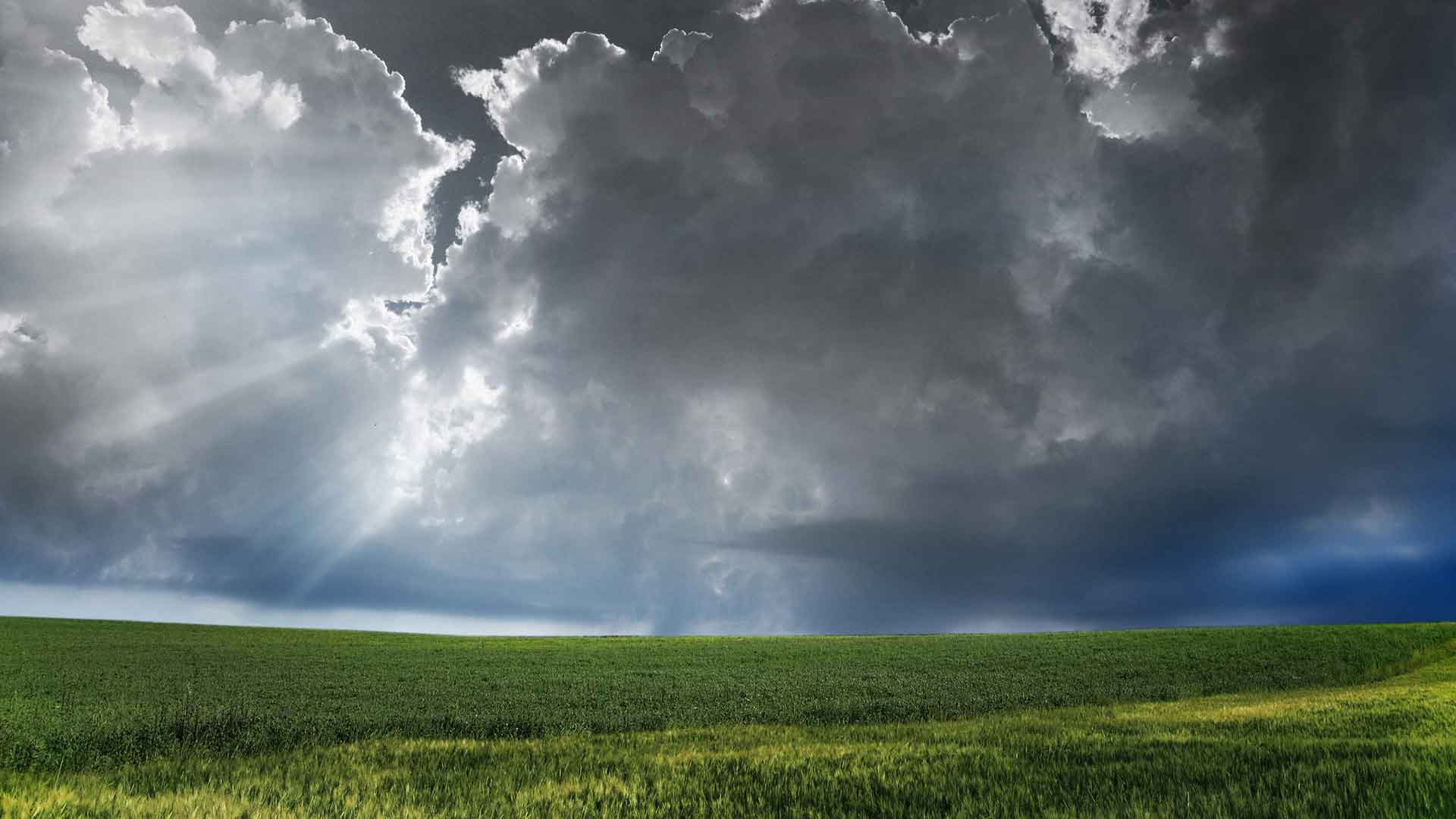 Proljetni umor: što ga uzrokuje i kako vratiti energiju