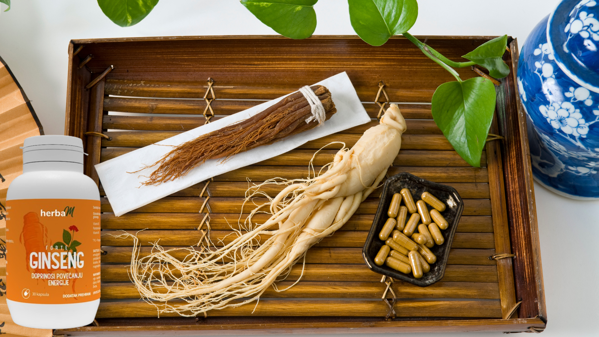 Ekstrakt-korijena-ginsenga-Ginseg-Forte